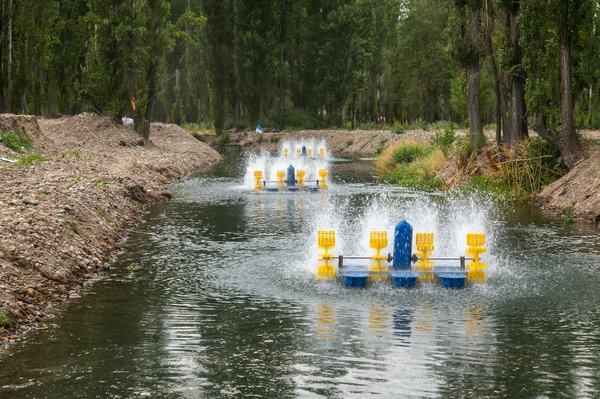 How to Set Up a Sustainable Aquaculture System in the UK?